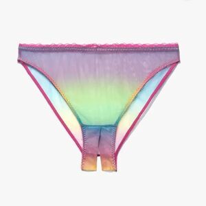 NWT Savage X Fenty Rainbow Ombre Print Mesh Crotchless High-Leg Bikini Panty